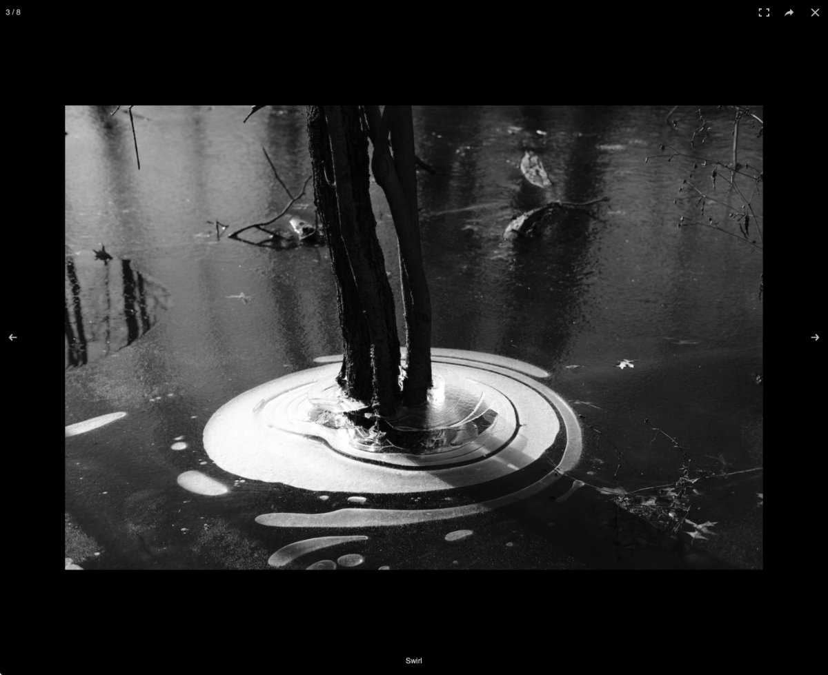 Image lightbox modal with black and white photo of a stump in a frozen canal