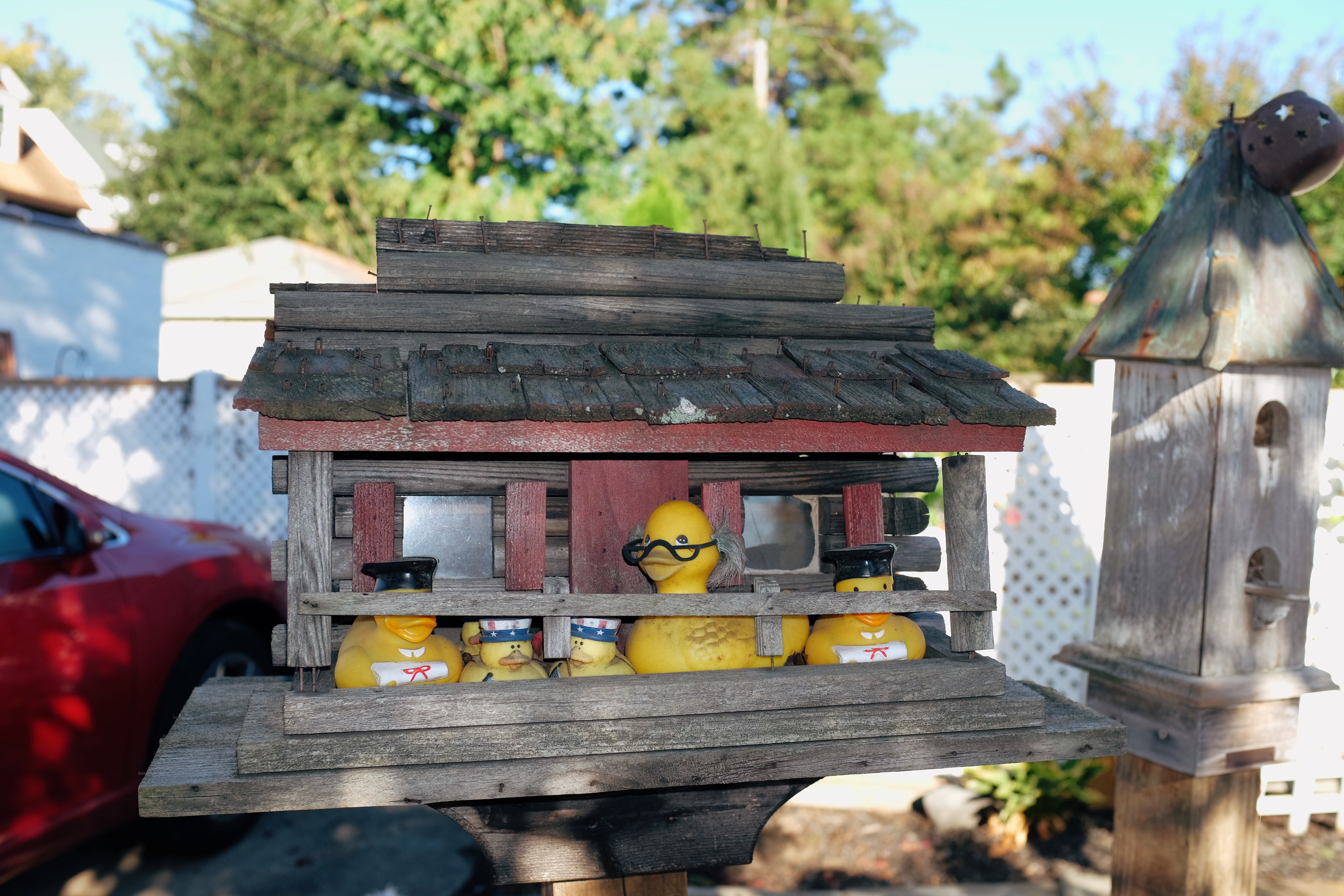 Rubber ducks lined up in a birdhouse