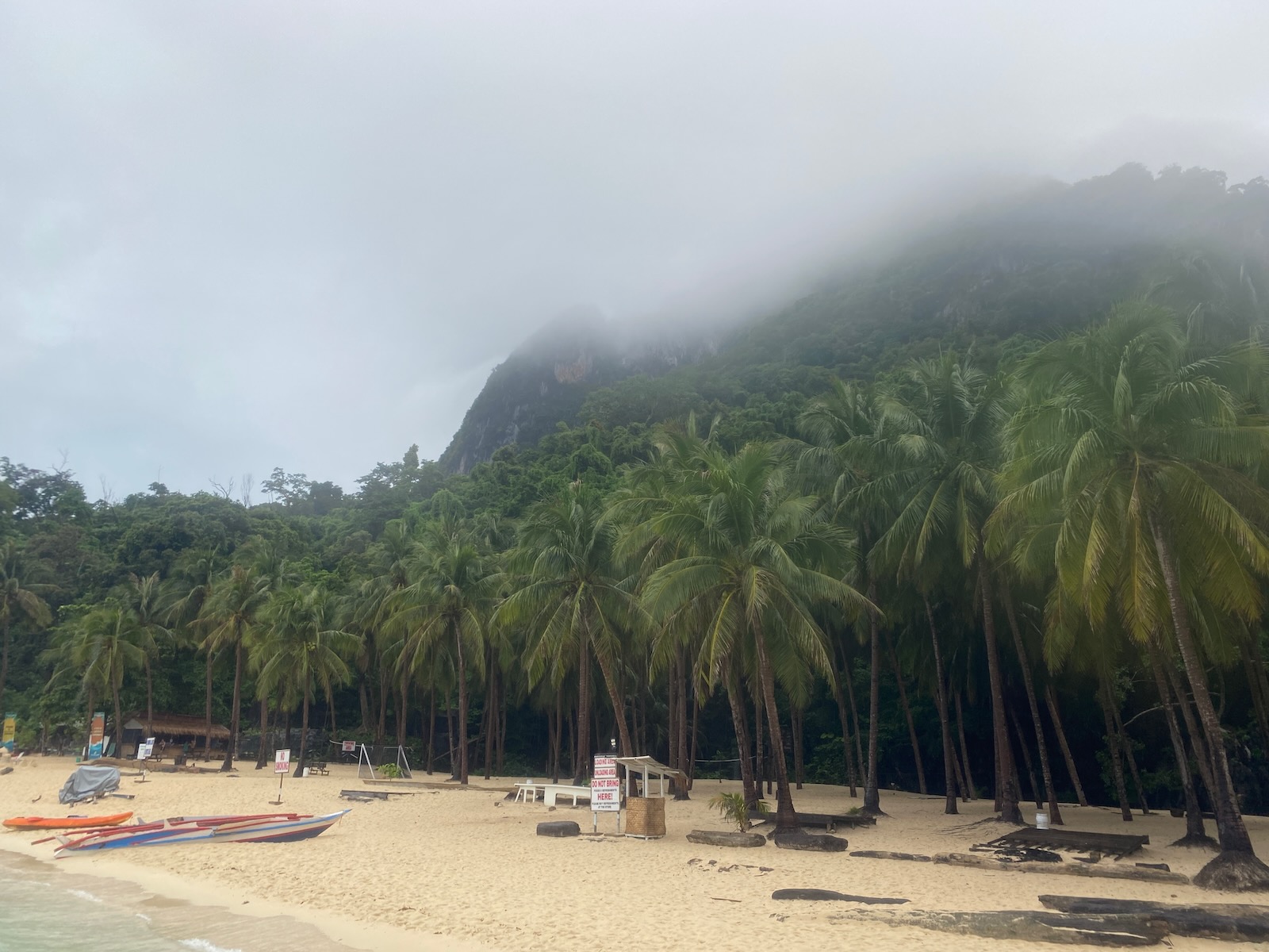 A beach with palm trees fading into a foggy hillside.