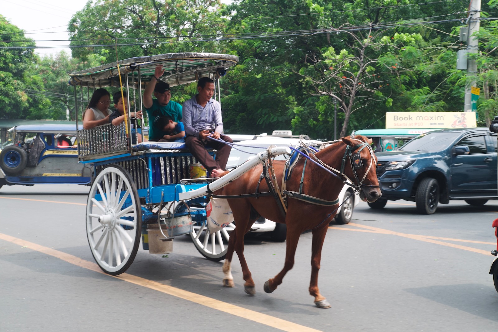 A blue horse-drawn carriage carries a small family through the streets of Manila. Up front sits the driver with bare feet and a bored expression on his face.