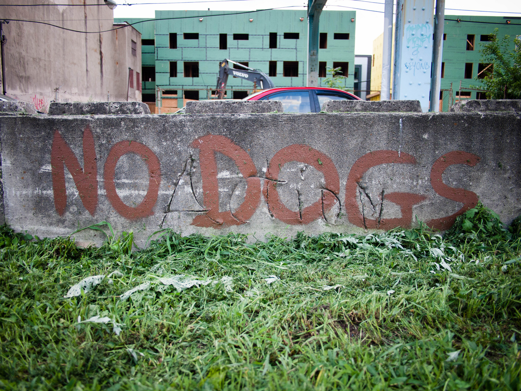 "No Dogs" spray-painted on a concrete divider.